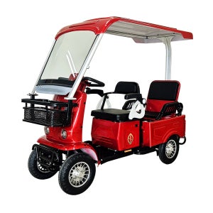 와이엘코리아 YL실버플러스 캐노피 2인승 어르신전동차