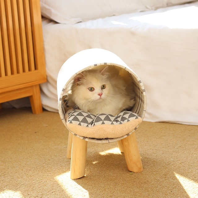 고양이집 이미지