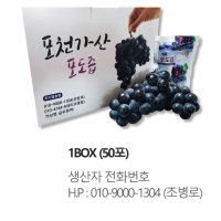 포천시가산면 포도100%포도즙 50포(포도알농원)