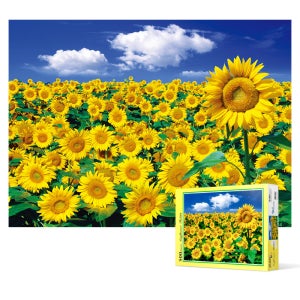 500피스 직소퍼즐 - 해바라기 들판과 푸른 하늘 2