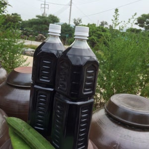 초석잠 1.5L