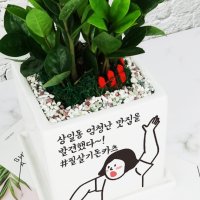 개업 화분 축하 메세지 인쇄 꽃배달 화환 선물 카페 미용실 식당 사무실 학원 병원 오픈