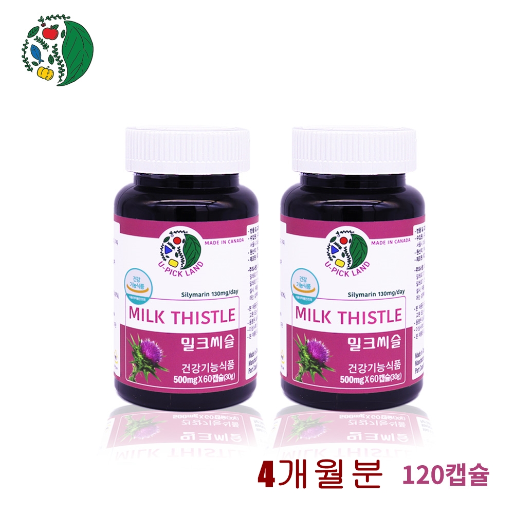 캐나다 밀크씨슬 아티초크 서양민들레 뿌리 고함량 실리마린 간영양제