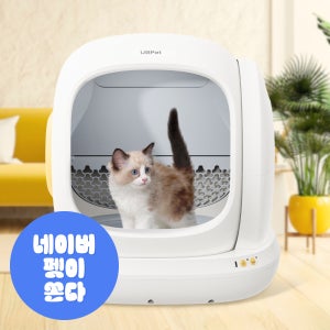 [디클펫] 디클펫 고양이 자동 화장실 두잉