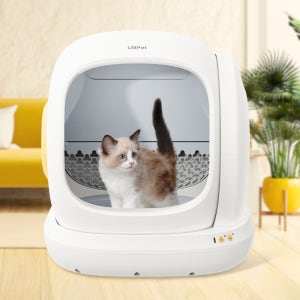 디클펫 고양이 자동 화장실 두잉