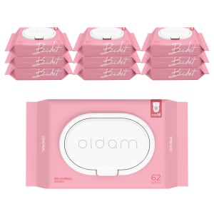 올담 비데물티슈 캡형 62매 10팩