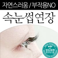 속눈썹디자이너, 자연스럽고 우아한 인천 속눈썹연장, 속눈썹생장술MTS시술 (조건무료가능)