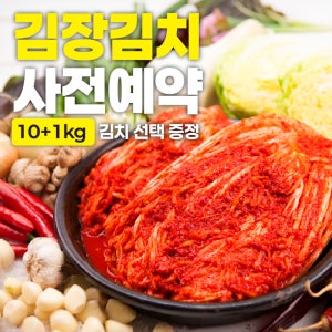 [예약특가] 전라도 김장김치 국산 프리미엄 특허 채소발효수 HACCP 빛고을김치 이어온