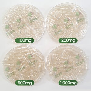 코인텍 식물성 공캡슐 빈알약 1000개 500mg 투명