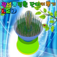 LED 광섬유정원 잔디꾸미기 5인