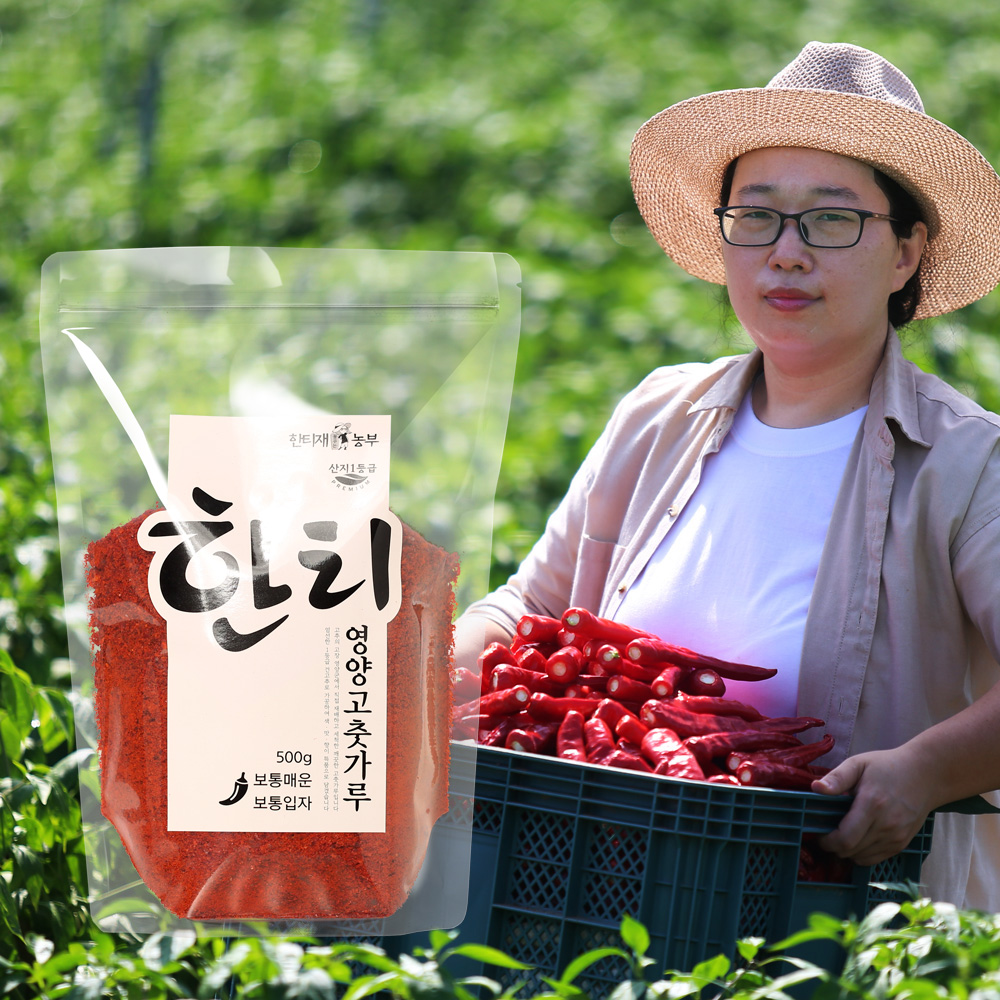 국산 경북영양 햇고추가루 안매운 보통맛 김장용/요리용 500g 어린이집 햇 25년 덜 한티