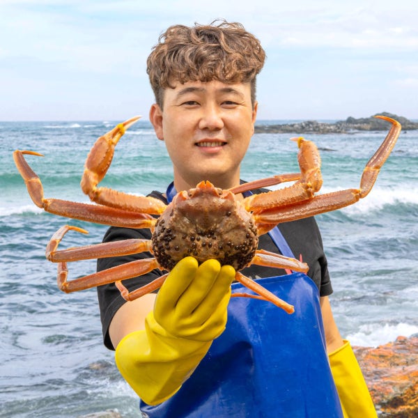 선주직판 이프로마켓 국내산 포항 대게 제철 박달 대게 연지 홍게 게