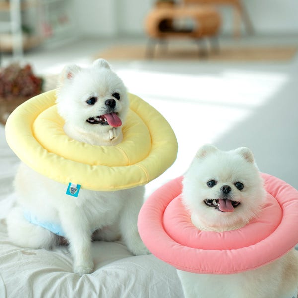 강아지 넥카라 목보호대 여름 대형견 고양이 쿠션 천 ufo 중성화 넥카라 포그니 M