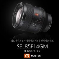 소니 SONY 알파 FE 85mm F1.4 GM