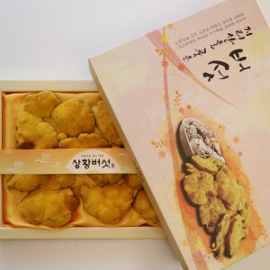 지리산 유기농 상황버섯 선물세트 (원형, 절편) 100g