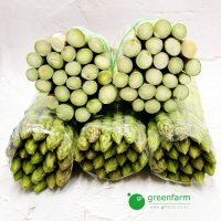 아스파라거스 5kg (원산지 : 국내산)