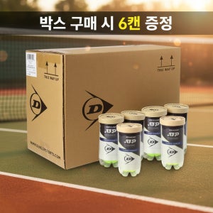 던롭 ATP 테니스공 (36캔) ITF 공인 시합용 국내유통 캔볼 유압구