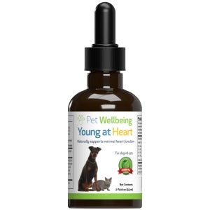 펫웰빙 반려동물 영양제 반려견 심장질환 영양제 (Young at Heart - for Healthy Heart Maintenance in Dogs) 59ml
