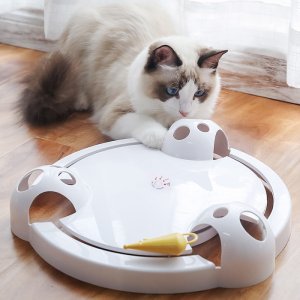 새끼 아기 고양이 자동 혼자 움직이는 사냥 장난감