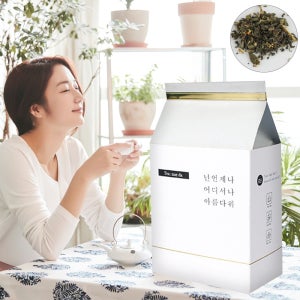 티내다 제주 녹차 삼각티백 100개입