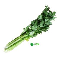 샐러리 1단 (약 700~800g)