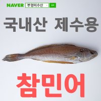 [반건조생선] 국내산 민어 - 제수용, 부엉이수산