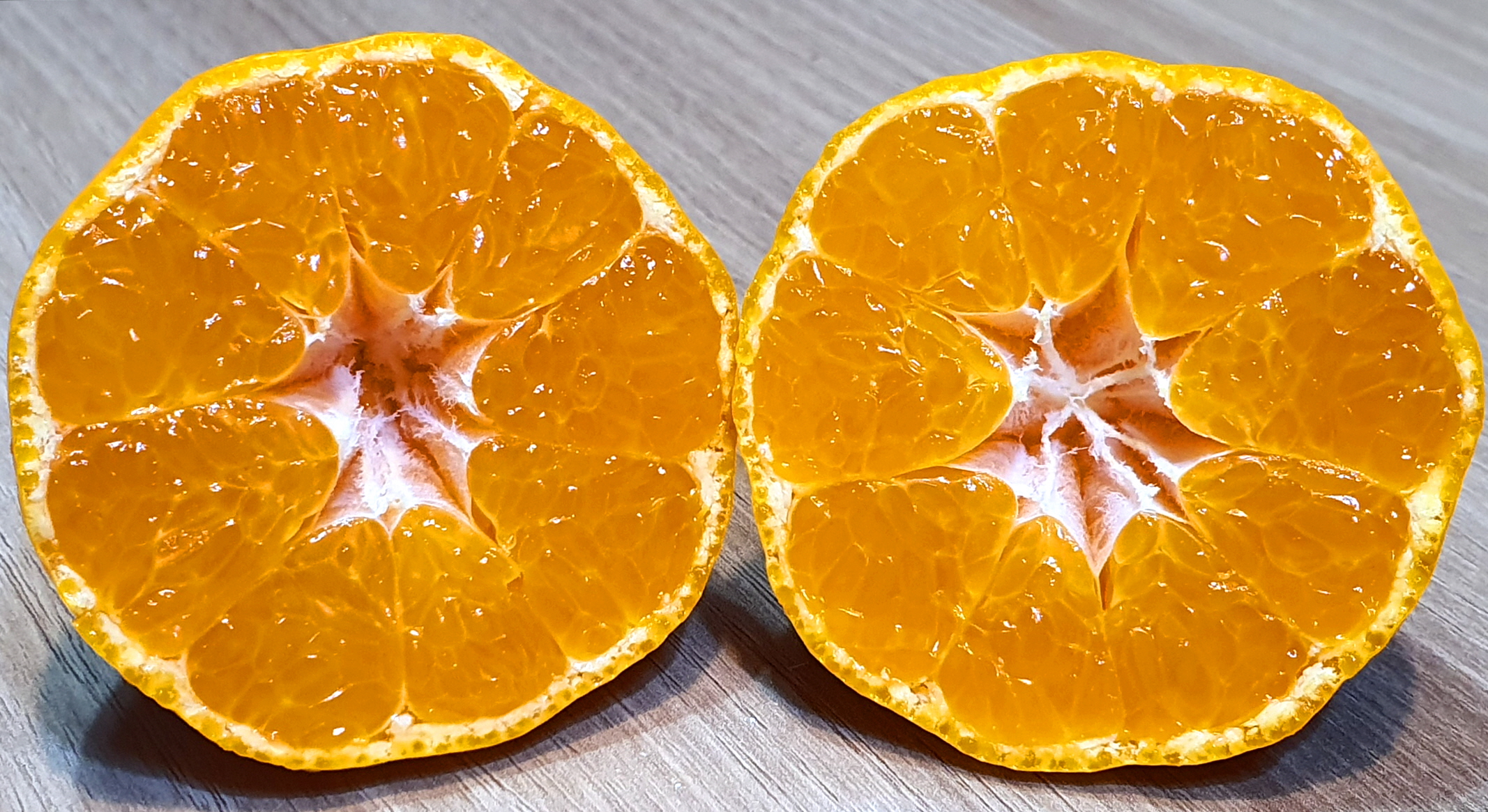 제주 서귀포 남원 감귤 10kg, 5kg 농장주 산지직송 고당도 상품