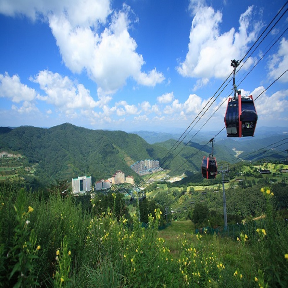 홍천 소노벨비발디파크 객실 + 조식 또는 오션 또는 인피니티풀or앤트월드 중 택 1