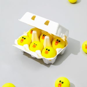 샐리 골프공 세트 (6개입)