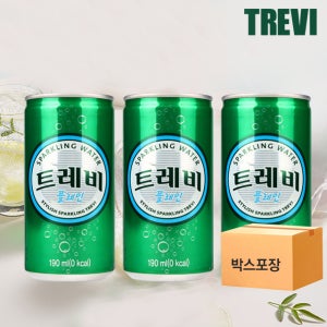 (60캔) 트레비 플레인 190ml x 30캔 / 2 BOX