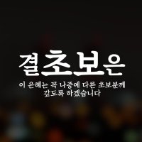 초보운전 결초보은 시리즈 차량 스티커 / 윈스턴