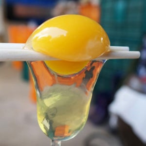 유정란 30알 난각번호 1번 방사 등고개 농장 에그본