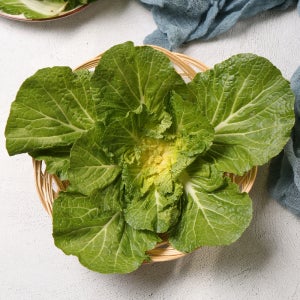 진도 유기농 <b>봄동</b>배추 2kg