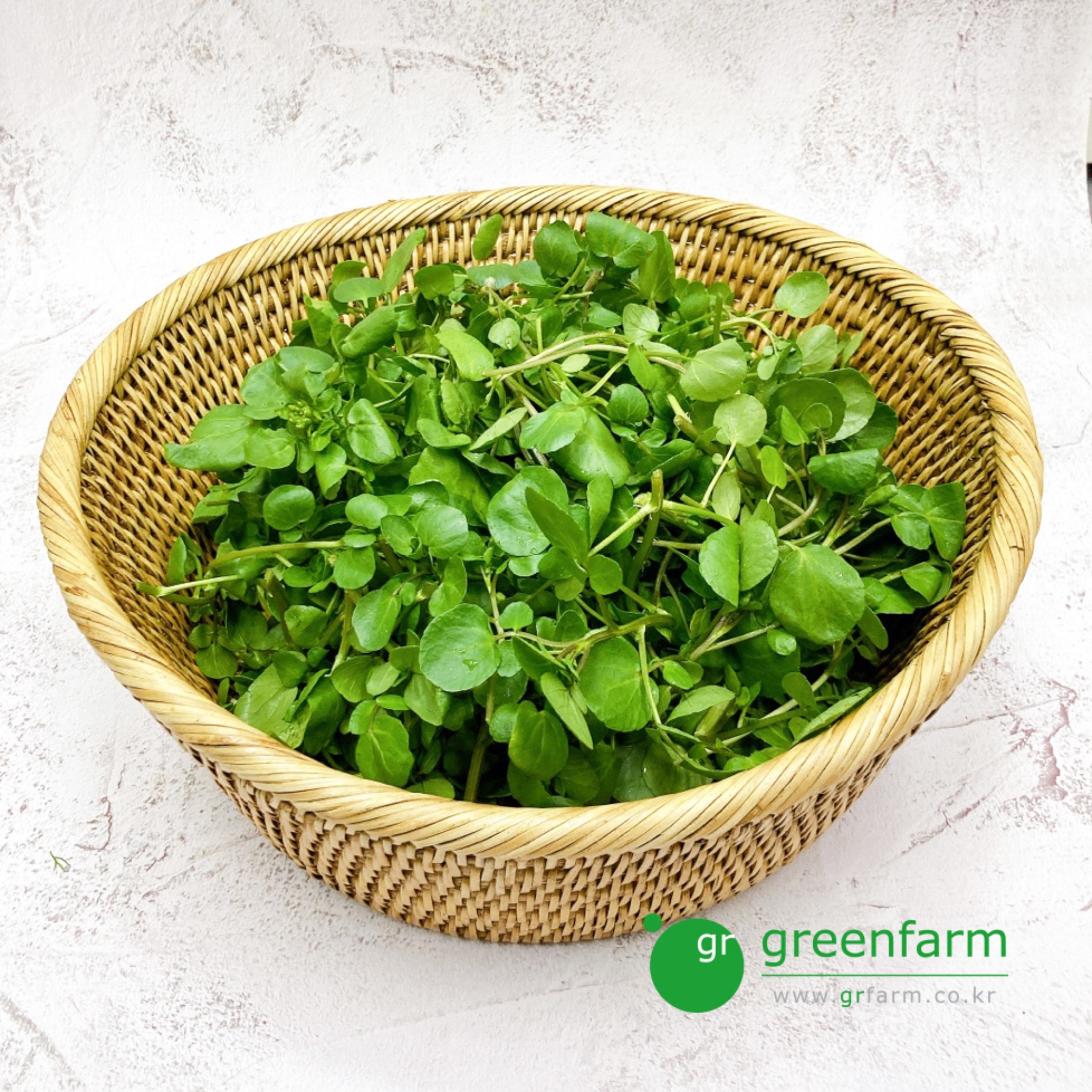 크레숑 300g <b>물냉이</b>, 워터크레스