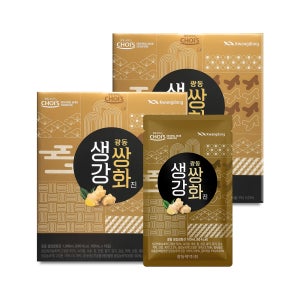 광동 생강 쌍화진(100mlX10포) 2박스