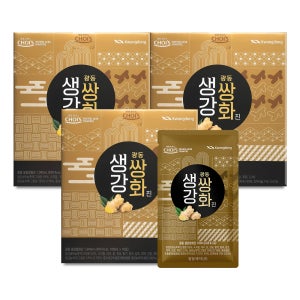 광동 생강 쌍화진(100mlX10포) 3박스