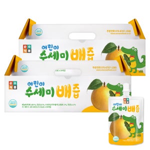 어린이 수세미배즙 30포+30포 총 60포x100ml 음료 주스 간식 선물포장 순수식품