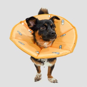 펫띵 스트레스프리 강아지 넥카라 방수 초경량 깔때기