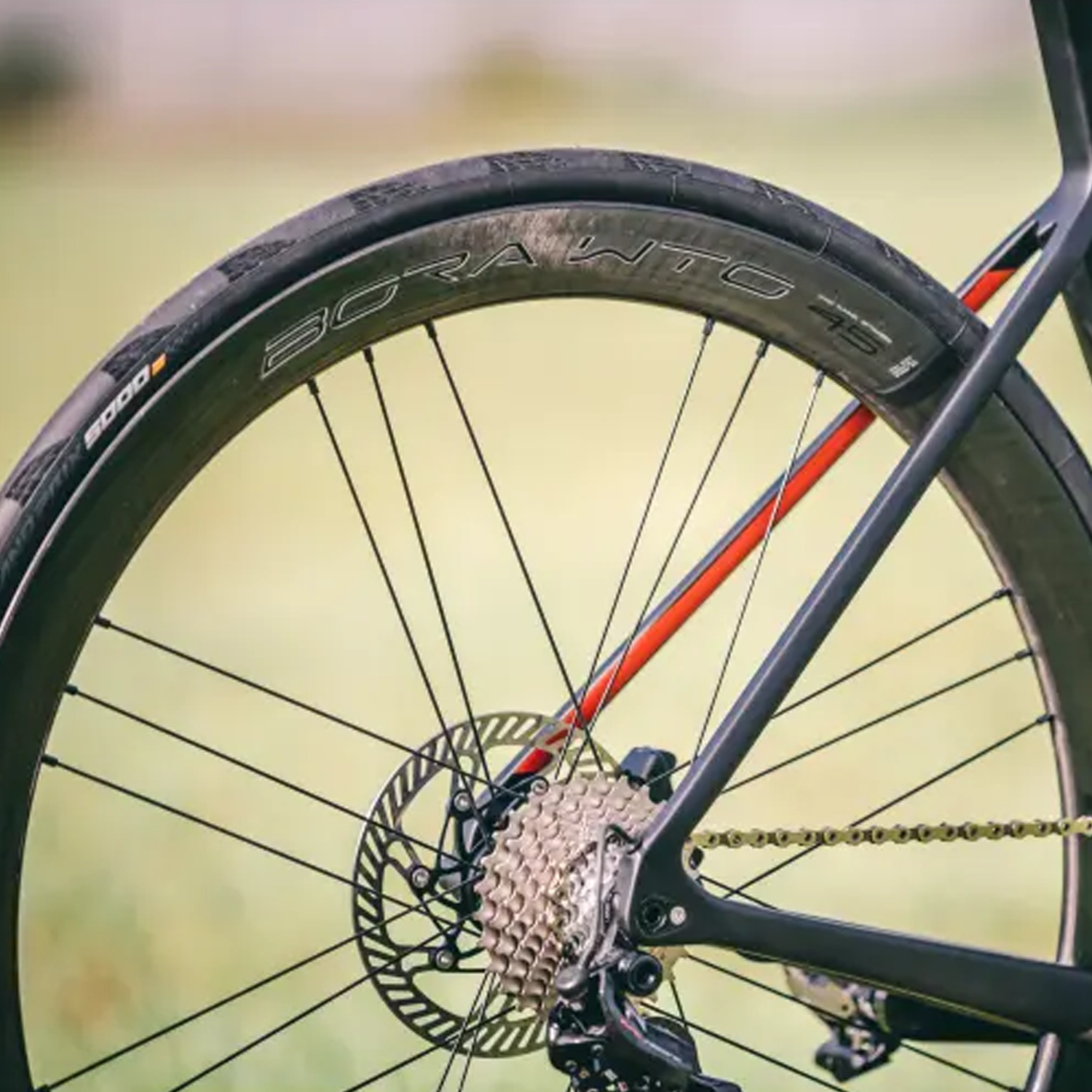 캄파놀로 보라 WTO 45 2투웨이핏 림테잎 필요 없는 클린처 튜블리스 디스크 카본 휠셋