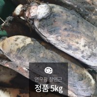 연우팜 찰연근 정품 5Kg