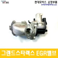 그랜드 스타렉스 A2엔진 밸브 ＥＧＲ / 284104A700 / 추가선택 - 가스켓