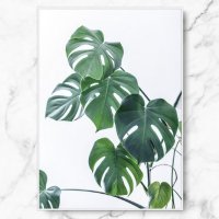 [1300K] 인테리어 그림 식물 포스터 몬스테라 플랜트 대형