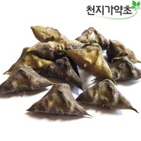 충남태안 햇 마름열매 200g 마름 능실 물밤 능각