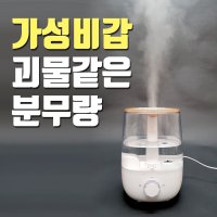 아로마 통세척가습기 간편 세척 편한 청소쉬운 비염 대용량 가습기 피오