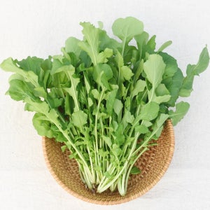 루꼴라 로켓 로케트 샐러드 1kg