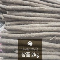 연우팜 상품 우엉 2Kg