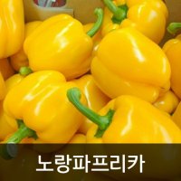 약수농장 노랑파프리카 5kg