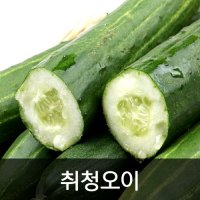 약수농장 취청오이 못난이 보통 10kg