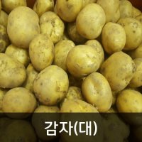 약수농장 햇감자(대) 10kg