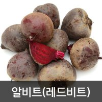 약수농장 레드비트 알비트 5kg